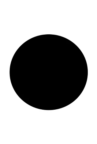 Vloerplaat Zwart Rond Ø 80 cm 2 mm dik